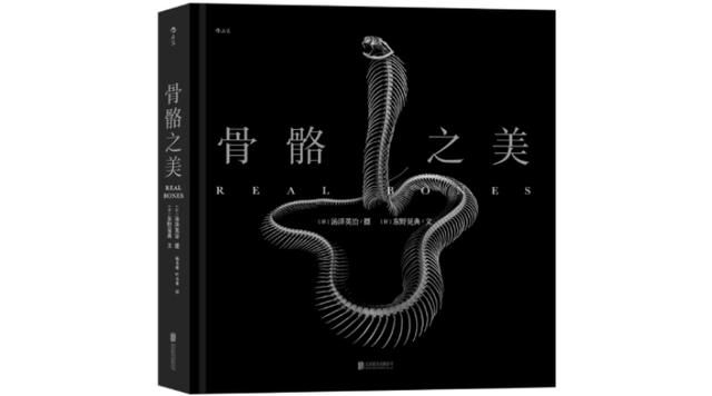 掌骨在哪(掌骨在哪里)