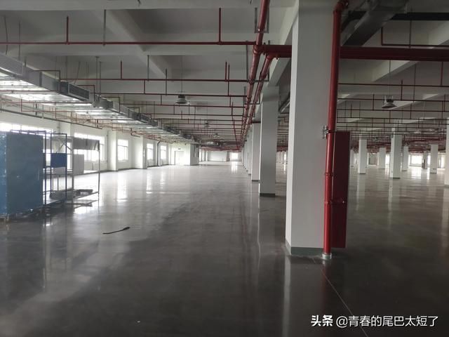 天津西青厂房出租(西青区厂房出租西青周边厂房)