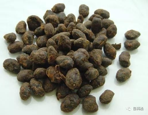 纳豆菌在哪里买(纳豆菌在哪里买得到)