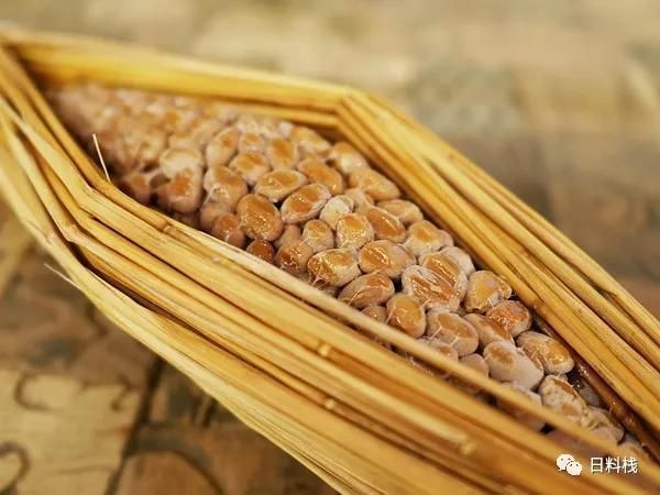 纳豆菌在哪里买(纳豆菌在哪里买得到)