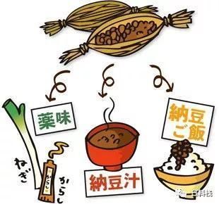 纳豆菌在哪里买(纳豆菌在哪里买得到)