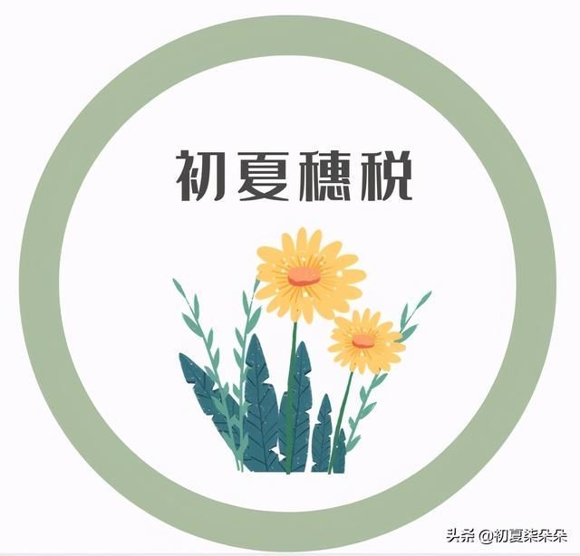 开公司去哪个税务局(去哪个税务局都可以吗)