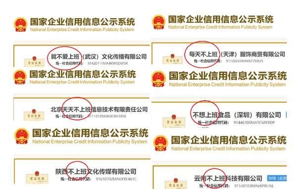 公司起名查询(公司起名大全二字免费)