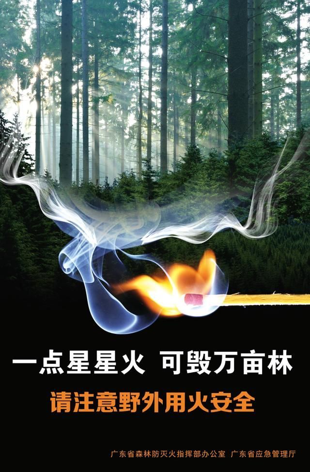 深圳德永信财税集团(深圳德永信财税集团地址)