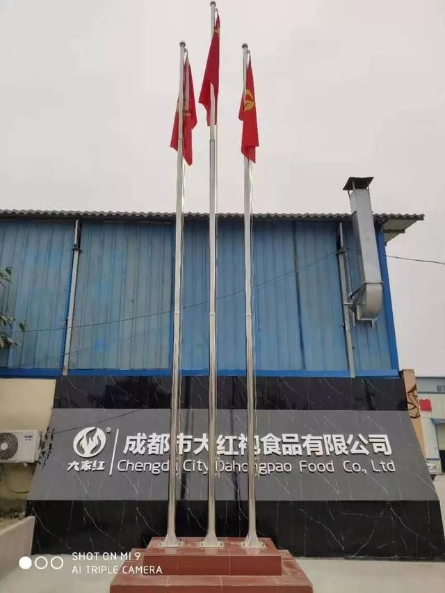 鼎新在哪(鼎新基地在哪)