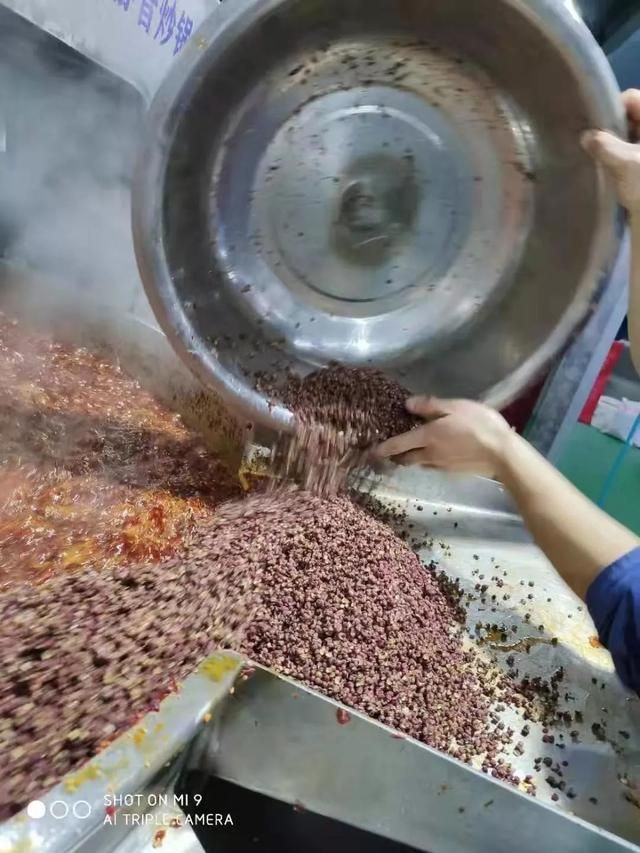 鼎新在哪(鼎新基地在哪)