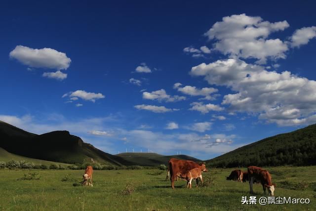 雄库鲁在哪里的简单介绍