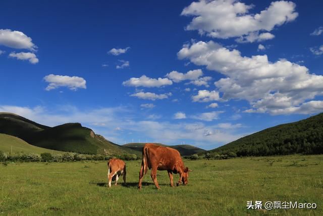 雄库鲁在哪里的简单介绍