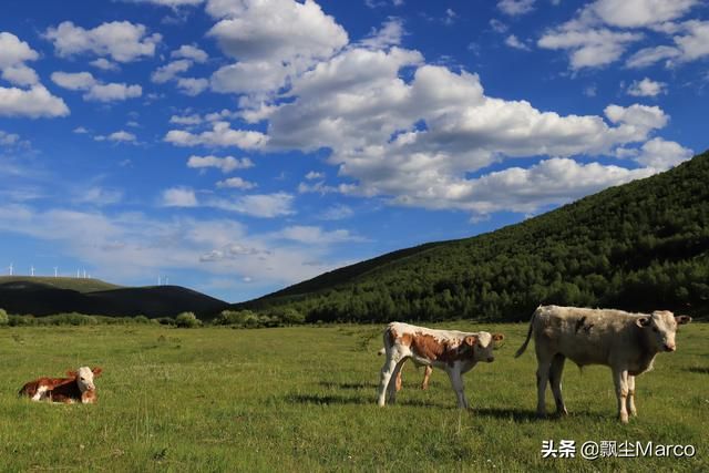 雄库鲁在哪里的简单介绍