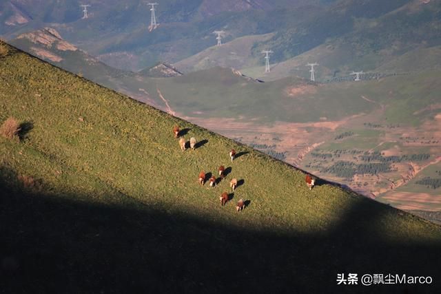 雄库鲁在哪里的简单介绍