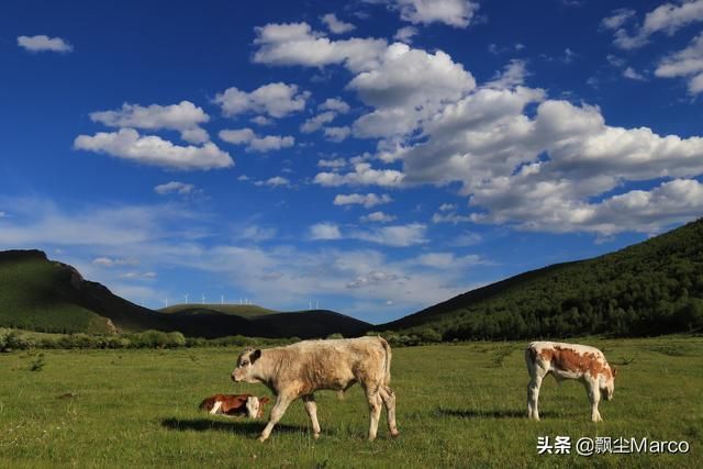雄库鲁在哪里的简单介绍