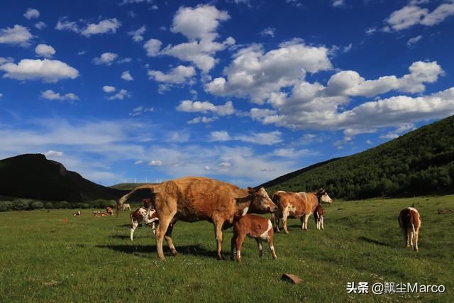 雄库鲁在哪里的简单介绍