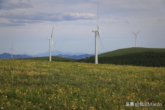 雄库鲁在哪里的简单介绍
