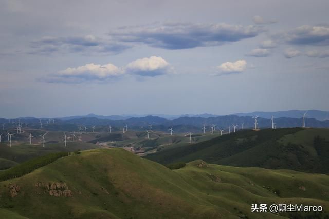 雄库鲁在哪里的简单介绍