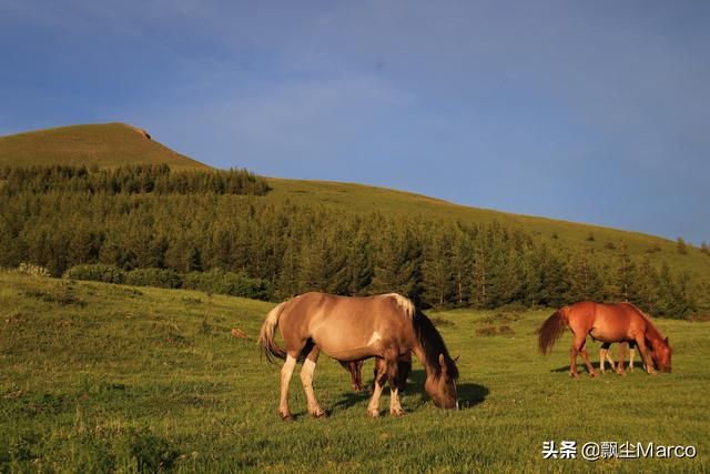 雄库鲁在哪里的简单介绍