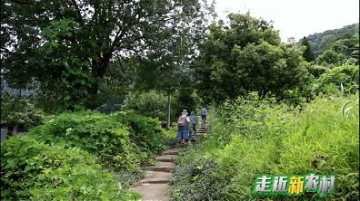 乐清法华寺在哪(乐清虹桥法华寺)