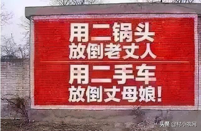 创业加盟好项目(有哪些创业加盟好项目)