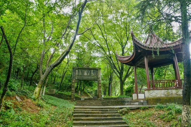 关于弘愿寺在哪里的信息