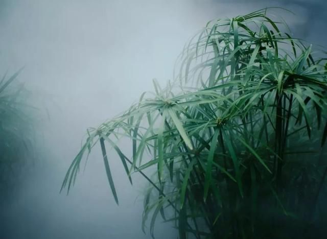 厦门白鹭女神在哪里(厦门白鹭女神的传说)