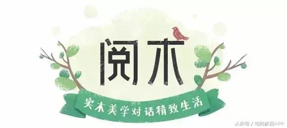 榉木产地在哪里(榉木产地在哪个国家)