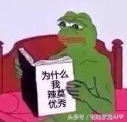 榉木产地在哪里(榉木产地在哪个国家)