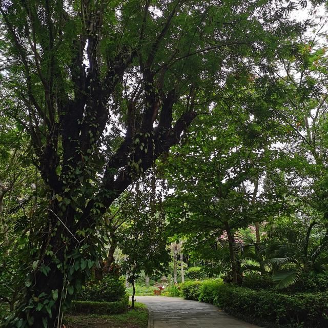 达州酒吧一条街在哪里(达州芭塔酒吧在哪里)