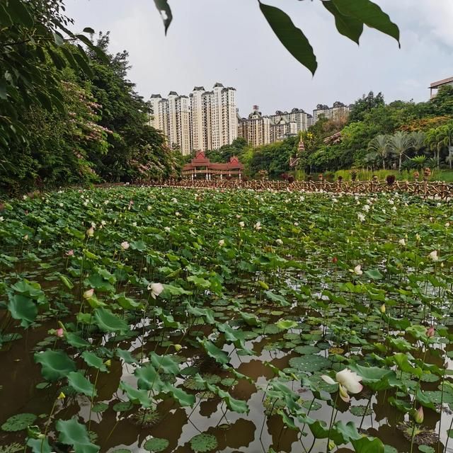 达州酒吧一条街在哪里(达州芭塔酒吧在哪里)