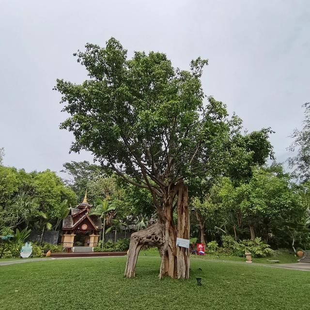 达州酒吧一条街在哪里(达州芭塔酒吧在哪里)