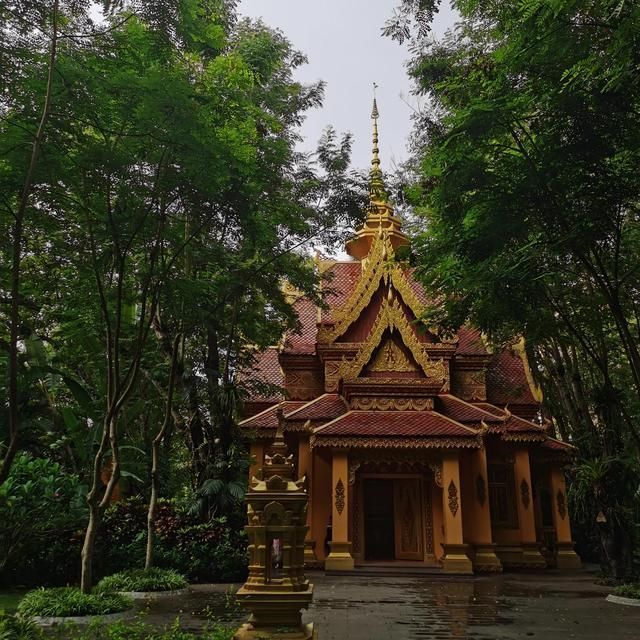 达州酒吧一条街在哪里(达州芭塔酒吧在哪里)