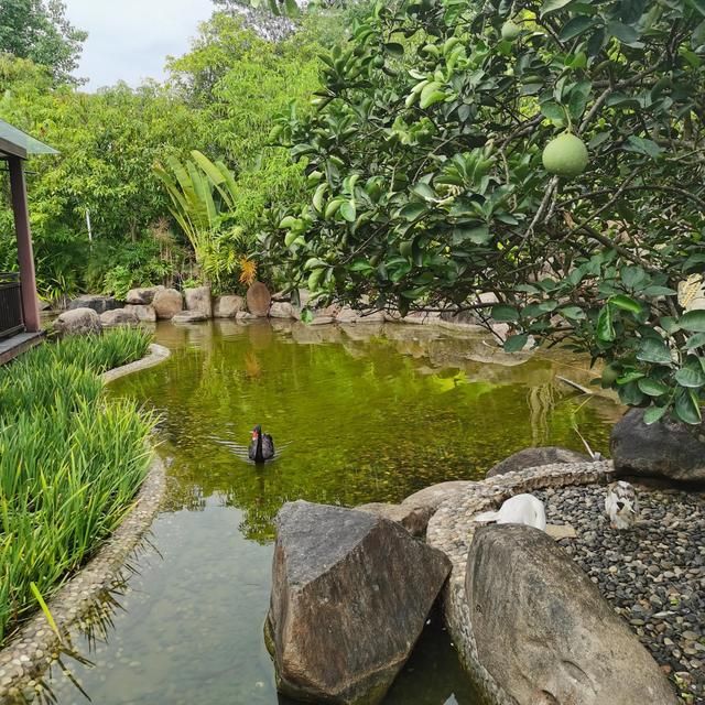 达州酒吧一条街在哪里(达州芭塔酒吧在哪里)