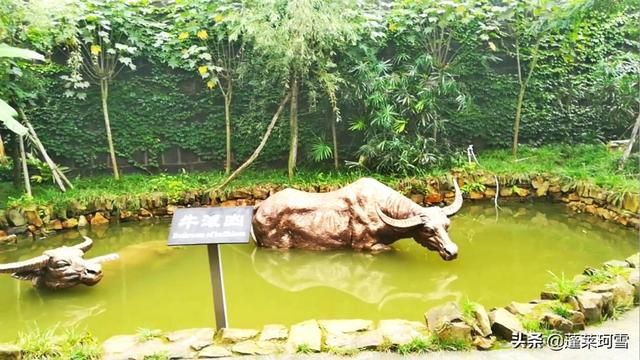 包含燊海井在哪里的词条
