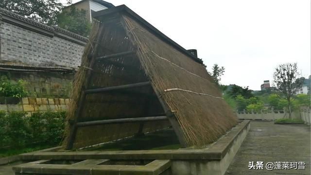 包含燊海井在哪里的词条