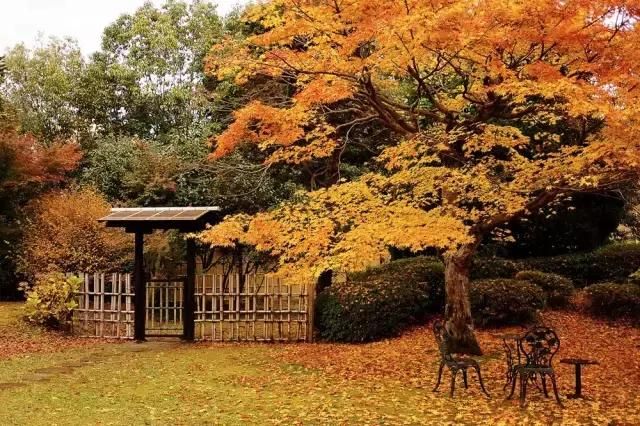 光圈在哪设置(光圈在哪里调节) 光圈在哪设置(光圈在哪里调节)