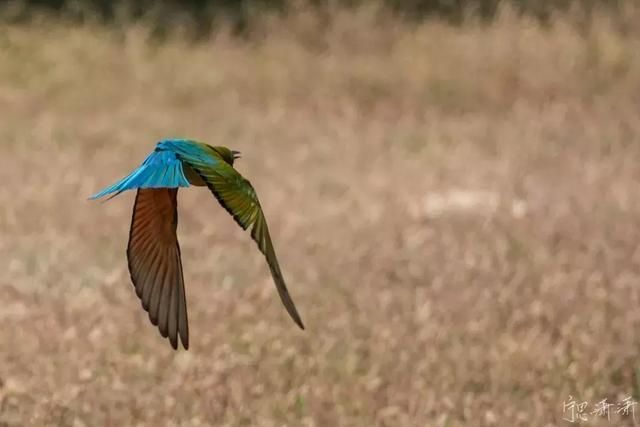 光圈在哪设置(光圈在哪里调节) 光圈在哪设置(光圈在哪里调节)