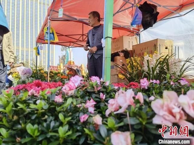 兰州绿植批发市场在哪(北京花卉绿植批发市场)