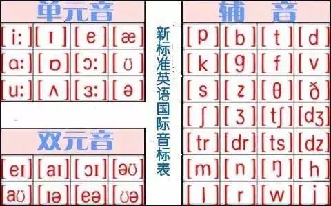 ui音标标在哪(ui音标)