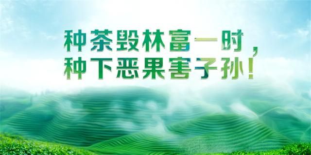 蒙自同德广场在哪里(蒙自同德广场电影院)