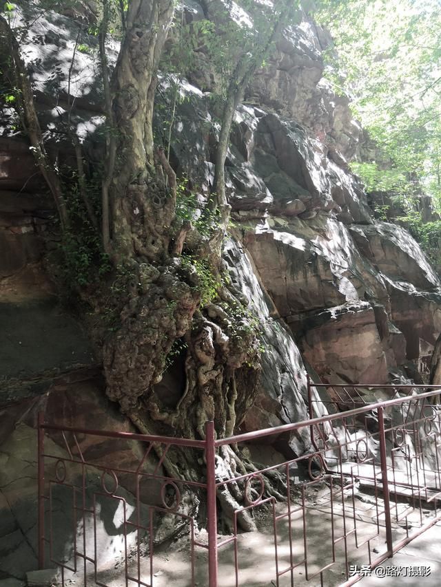 卧虎藏龙在哪里拍摄的(卧虎藏龙黄山拍摄地在哪里)