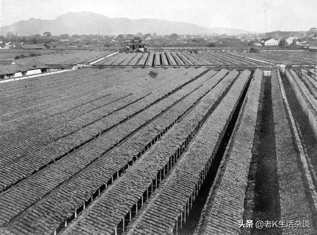 贡院在哪里(江南贡院在哪里)