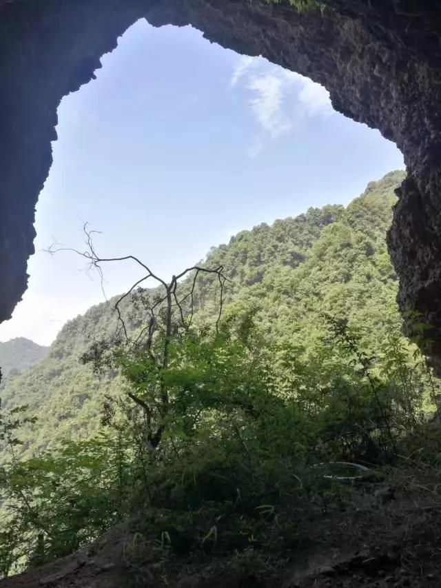 金波寺在哪(金波四季美文春天卷)