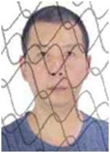 奉节失信人员名单查询系统的简单介绍