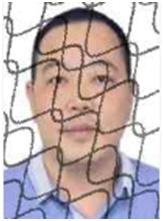 奉节失信人员名单查询系统的简单介绍