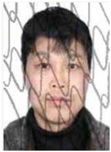 奉节失信人员名单查询系统的简单介绍