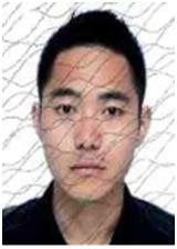 奉节失信人员名单查询系统的简单介绍