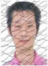 奉节失信人员名单查询系统的简单介绍