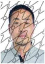 奉节失信人员名单查询系统的简单介绍