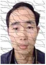 奉节失信人员名单查询系统的简单介绍