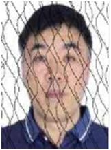 奉节失信人员名单查询系统的简单介绍