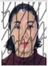 奉节失信人员名单查询系统的简单介绍