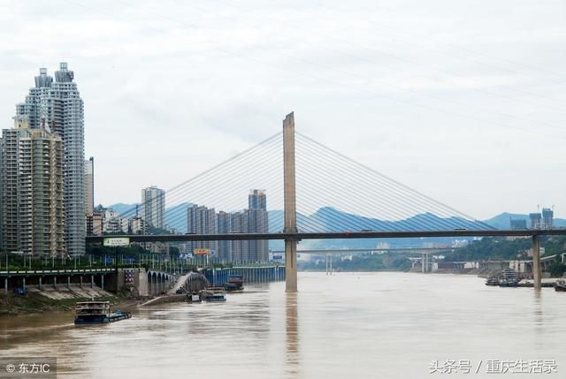重庆市沙坪坝区繁华吗(重庆市沙坪坝区房屋征收中心)